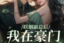 联姻霸总后，我在豪门当团宠商轶迟贺宝言小说免费阅读-瑞奇文学