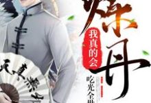 小说《我真的会炼丹》章节免费阅读-瑞奇文学