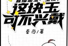 已完结小说《直播鉴宝:宝友,这块玉可不兴戴》章节在线阅读-瑞奇文学