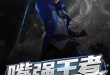 《嘴强王者的重生之路》小说章节列表免费试读，神马笔凉小说在线阅读-瑞奇文学