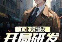 工业大研发:开局研发钢铁战甲小说的无弹窗阅读体验,寻找免费阅读网站-瑞奇文学