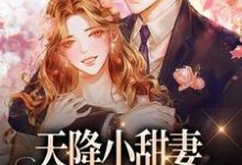 天降小甜妻:偏执大佬抱着哄徐蓁沈凌风小说在线章节免费阅读-瑞奇文学