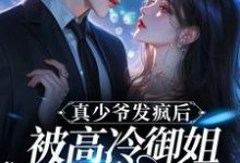 完结版《真少爷发疯后,被高冷御姐拖回家》在线免费阅读-瑞奇文学