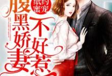 宋智珵麦西西柳舒潘玉慧小说《纸约蜜宠：腹黑娇妻不好惹》在线阅读-瑞奇文学