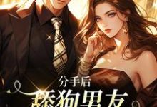 分手后,舔狗男友成了绝世神豪小说,分手后,舔狗男友成了绝世神豪章节在线阅读-瑞奇文学