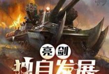 亮剑:独自发展,开局连升十级小说,亮剑:独自发展,开局连升十级在线阅读-瑞奇文学