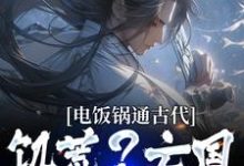 电饭锅通古代，饥荒？亡国？我救了小说，电饭锅通古代，饥荒？亡国？我救了免费阅读-瑞奇文学