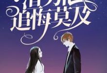 陆安禾厉成扉小说顶级豪门做娘家,渣男他追悔莫及在线阅读-瑞奇文学