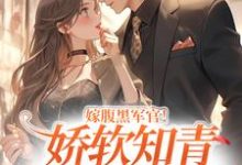 嫁腹黑军官！娇软知青她顶不住了小说，嫁腹黑军官！娇软知青她顶不住了楚桑宁江行宴-瑞奇文学