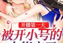 开播第一天,被开小号的大佬宠了(温酒)在线免费阅读-瑞奇文学