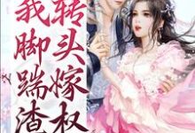 小说《开局我脚踹渣夫，转头嫁权臣》在线章节阅读-瑞奇文学