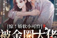 《惊！娇软小可怜被金圈大佬缠上了》小说贺忍奚舒沅章节章节免费在线阅读-瑞奇文学