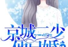宠妻入骨：京城二少他已婚小说，宠妻入骨：京城二少他已婚最新章节-瑞奇文学