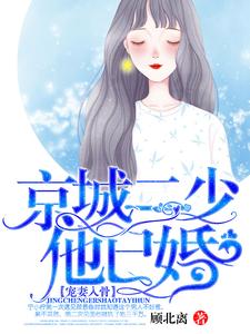 宠妻入骨：京城二少他已婚小说，宠妻入骨：京城二少他已婚最新章节