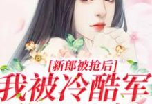 新郎被抢后，我被冷酷军爷日日宠小说完结版章节免费阅读-瑞奇文学