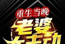 重生当晚,老婆太主动小说,重生当晚,老婆太主动章节在线阅读-瑞奇文学