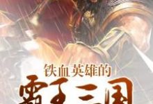铁血英雄的霸王三国范力刘协陈智李雄小说在线章节免费阅读-瑞奇文学