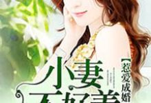 求惹爱成婚：小妻不好养小说的全文免费阅读链接-瑞奇文学
