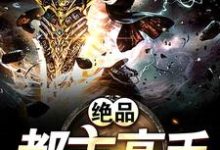 已完结小说《绝品都市高手》最新章节-瑞奇文学