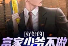 小说《好好的富家少爷不做,要做流浪汉》章节免费阅读-瑞奇文学
