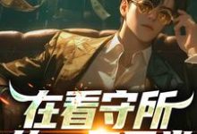 在看守所的一年日常小说全文哪里可以免费看？-瑞奇文学