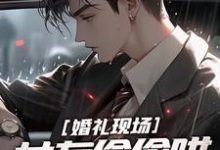 完整版《婚礼现场，女友偷偷哄她白月光》小说免费阅读-瑞奇文学