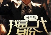 小说《分手后,我富二代身份被扒光了》章节免费阅读-瑞奇文学