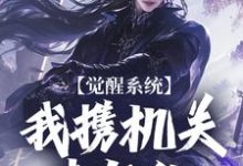 免费在线阅读觉醒系统：我携机关来复仇小说的正规网站有哪些？-瑞奇文学