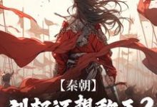 秦朝：刘邦还想称王？有我就没门章邯晨曦公主小说大结局免费试读-瑞奇文学