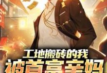 在线免费阅读工地搬砖的我,被首富亲妈找回家完整小说-瑞奇文学