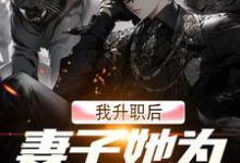 完结版《我升职后,妻子她为何不开心?》章节目录在线阅读-瑞奇文学