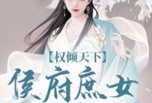 付锦书龙墨渊小说《权倾天下：侯府庶女的逆袭》完整版免费阅读-瑞奇文学