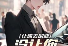 让你去创业,没让你制霸全球小说完结版章节免费阅读-瑞奇文学