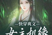 小说《快穿爽文：女主机缘全归我》章节免费阅读-瑞奇文学