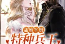 完整版小说《甜蜜军婚:特种兵王宠她入骨!》免费阅读-瑞奇文学