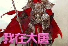 我在大唐卖军火小说的免费电子版在哪里可以下载或阅读?-瑞奇文学