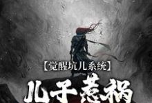 求觉醒坑儿系统，儿子惹祸我就能飞升小说免费资源-瑞奇文学