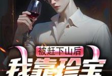 被赶下山后，我靠珍宝登上巅峰完整版最新章节，被赶下山后，我靠珍宝登上巅峰章节在线阅读-瑞奇文学