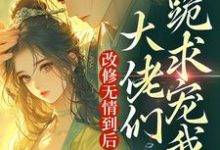 免费看改修无情到后,大佬们跪求宠我?小说的网站有哪些?-瑞奇文学