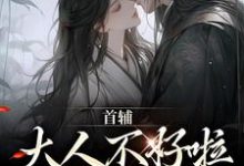 小说《首辅大人不好啦,夫人她跑了!》章节免费阅读-瑞奇文学