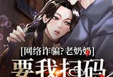 《网络诈骗?老奶奶要我扫码付我遗产》小说章节列表免费试读,宋时小说在线阅读-瑞奇文学