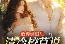 小说《放弃倒追后,清冷校草说他喜欢我》在线章节阅读-瑞奇文学