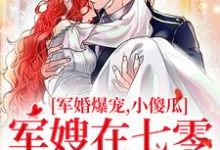 军婚爆宠，小傻瓜军嫂在七零赢麻了章节免费在线阅读，许烟宋言彻完结版-瑞奇文学