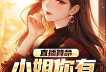直播算命:小姐你有血光之灾小说最新更新在哪里?免费在线看-瑞奇文学