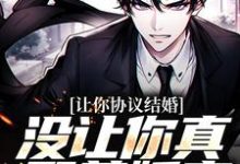 苏浔楚攸雨小说在线章节免费阅读（让你协议结婚，没让你真娶美娇妻无弹窗无删减）-瑞奇文学