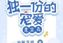 完整版《独一份的宠爱【杀生丸】》小说免费阅读-瑞奇文学