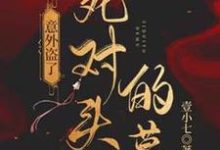 意外盗了死对头的墓完整版小说，意外盗了死对头的墓司遇厉雍寻-瑞奇文学