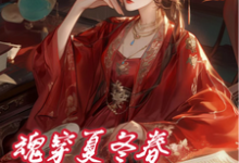 夏冬春穿越日记：我与华妃二三事完整版小说，夏冬春穿越日记：我与华妃二三事苏小小年世兰-瑞奇文学