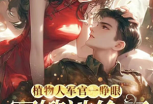 穿书:炮灰不走剧情,主角死活随便小说完结了吗?在哪里可以免费读到?-瑞奇文学