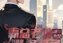 岳琰明洛红颜小说如果不是霸总老婆我还是一条咸鱼章节免费阅读-瑞奇文学